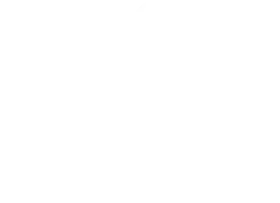 Wol Marketing - Agência de Branding